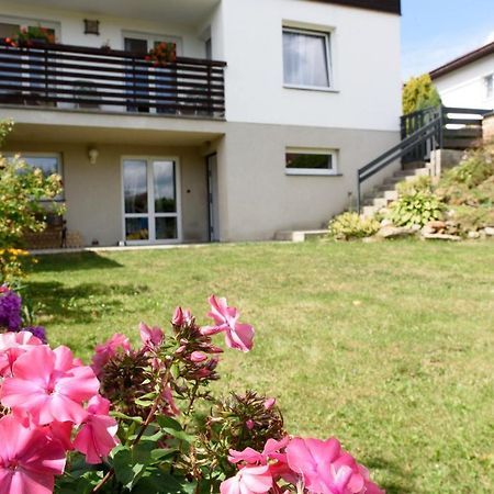 Apartmany U Kramlu ビンペルク エクステリア 写真