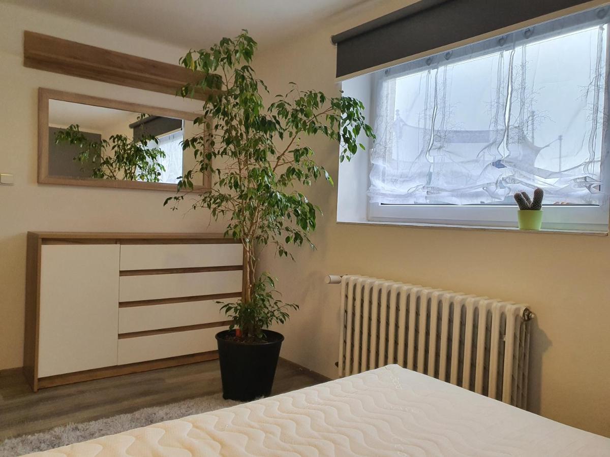 Apartmany U Kramlu ビンペルク エクステリア 写真