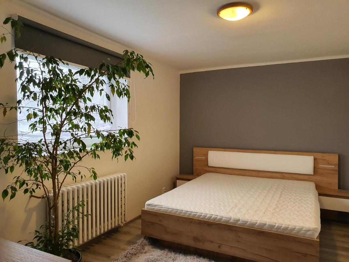 Apartmany U Kramlu ビンペルク エクステリア 写真